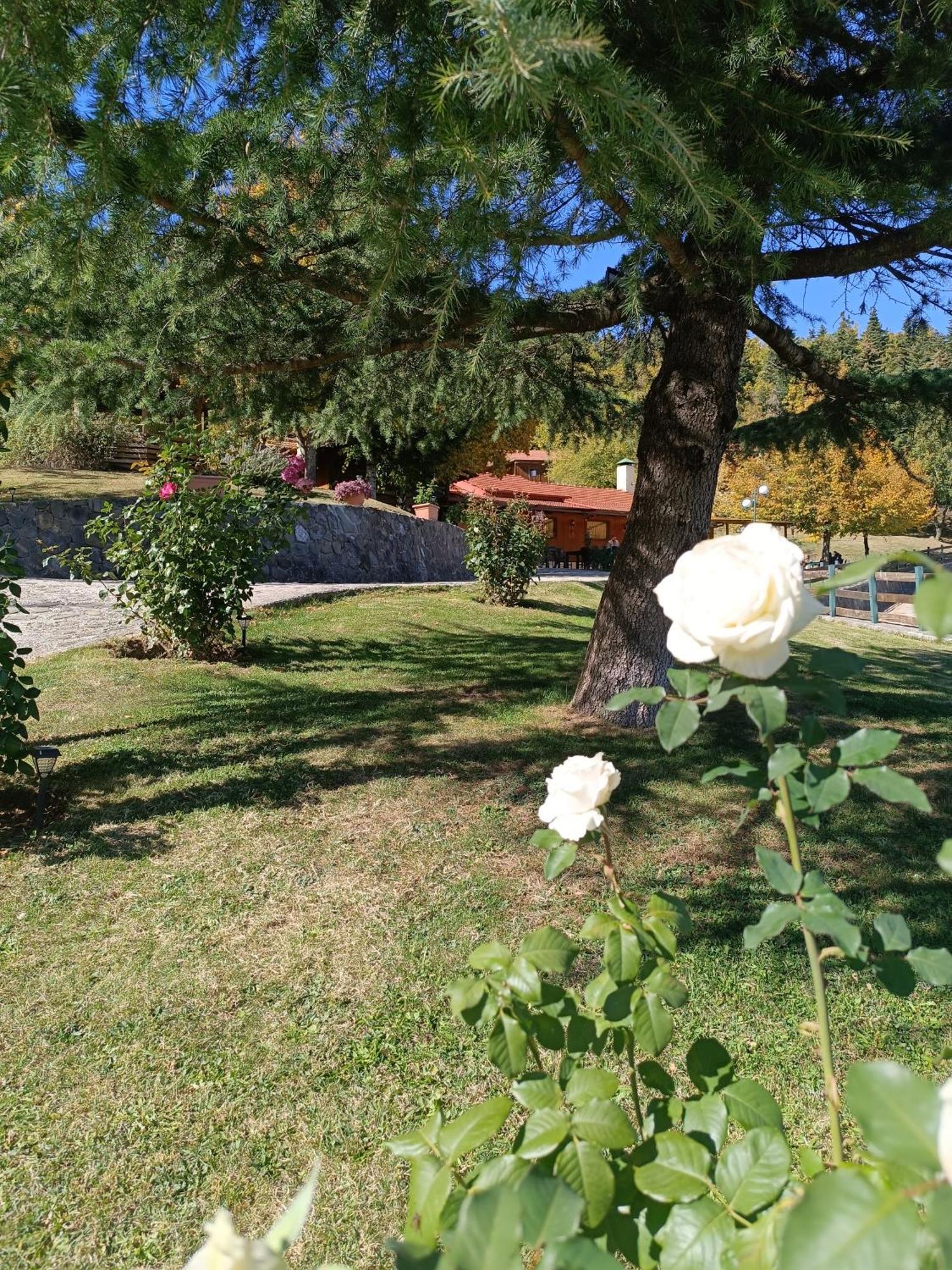 Livadaki Village Megali Kapsi Exterior photo