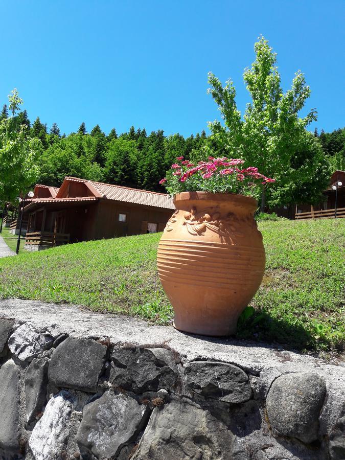 Livadaki Village Megali Kapsi Exterior photo
